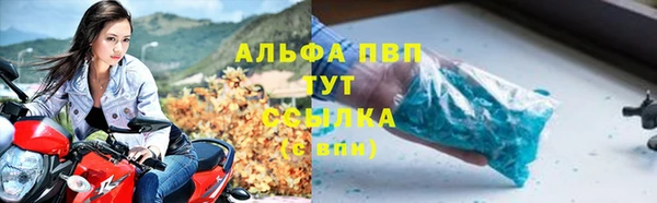 спиды Ростов