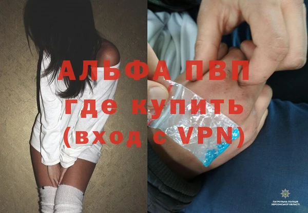 спиды Ростов