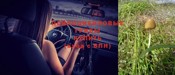 ПСИЛОЦИБИНОВЫЕ ГРИБЫ Россошь