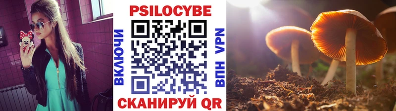 Псилоцибиновые грибы мицелий  как найти закладки  Ува 